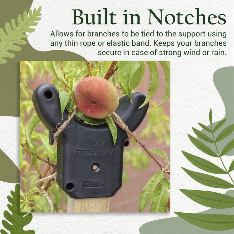 Kalinar Tree Crutch - DIY Tree Support Device - Save Fruit Tree Branches from Breaking Under Heavy Fruit  fits on Standard 2x2 Lumber T-bar  Bamboo Garden Stakes  Broom Pole - Image 5